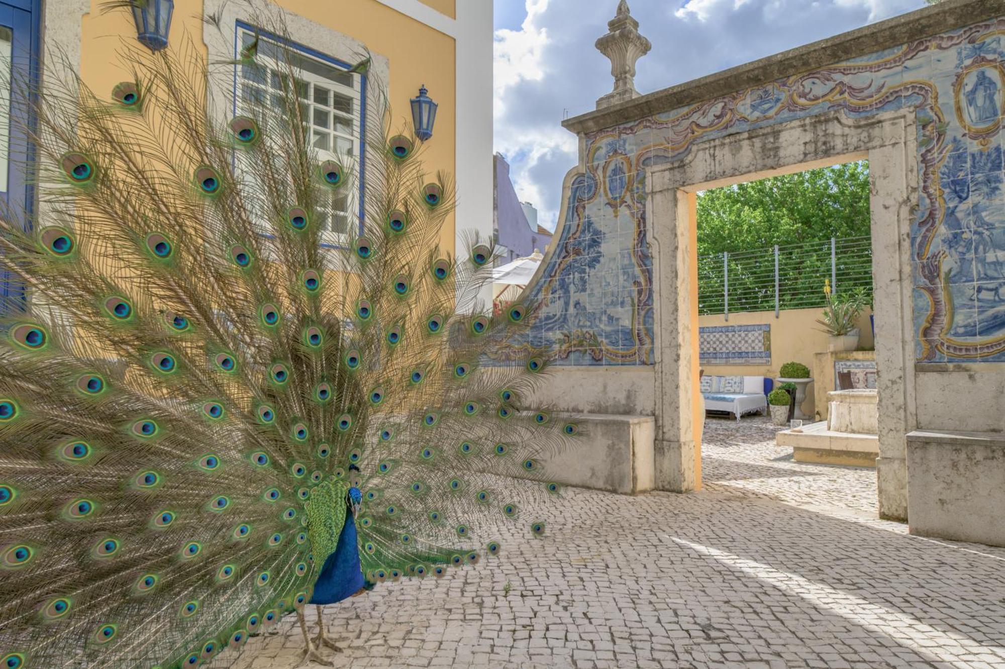 Solar Do Castelo - Lisbon Heritage Collection - Alfama